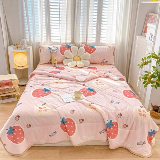 Chiếu Điều hòa cao su, kèm chăn có đủ size M6,M8,2M2