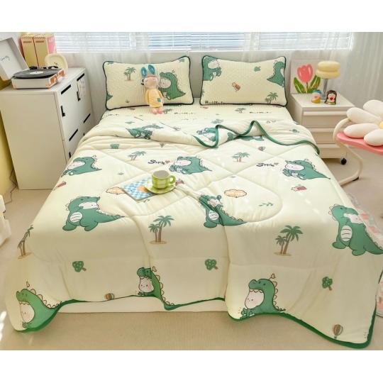Chiếu Điều hòa cao su, kèm chăn có đủ size M6,M8,2M2