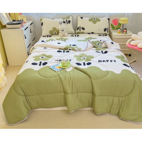 Chiếu Điều hòa cao su, kèm chăn có đủ size M6,M8,2M2