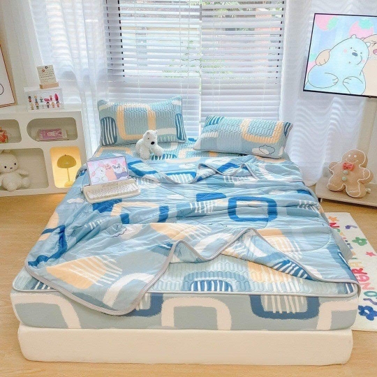 Chiếu Điều hòa cao su, kèm chăn có đủ size M6,M8,2M2