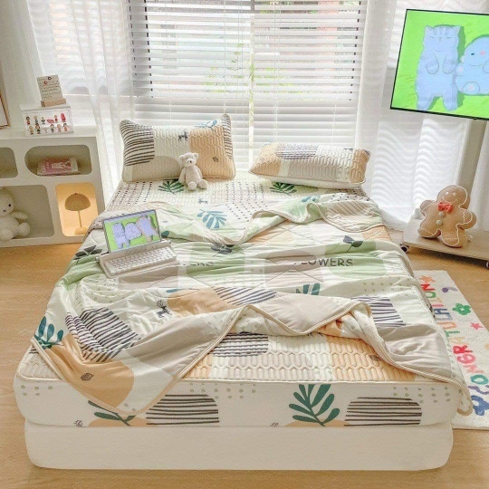 Chiếu Điều hòa cao su, kèm chăn có đủ size M6,M8,2M2