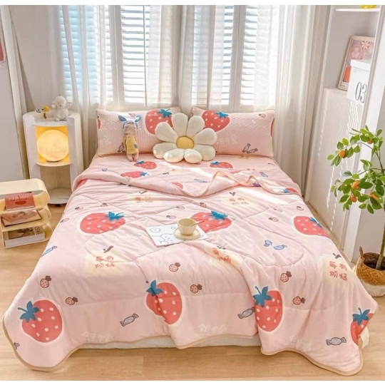 Chiếu Điều hòa cao su, kèm chăn có đủ size M6,M8,2M2