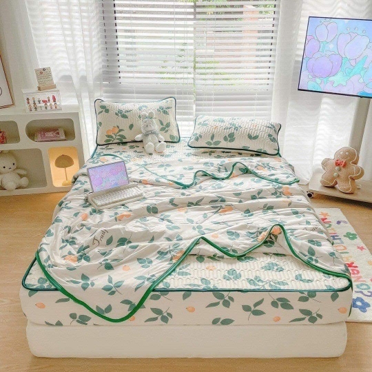 Chiếu Điều hòa cao su, kèm chăn có đủ size M6,M8,2M2