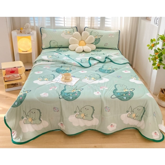 Chiếu Điều hòa cao su, kèm chăn có đủ size M6,M8,2M2