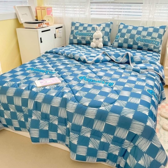 Chiếu Điều hòa cao su, kèm chăn có đủ size M6,M8,2M2