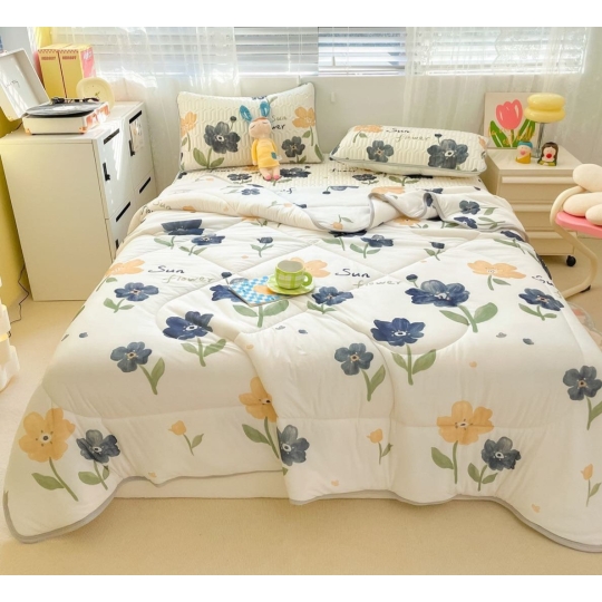 Chiếu Điều hòa cao su, kèm chăn có đủ size M6,M8,2M2