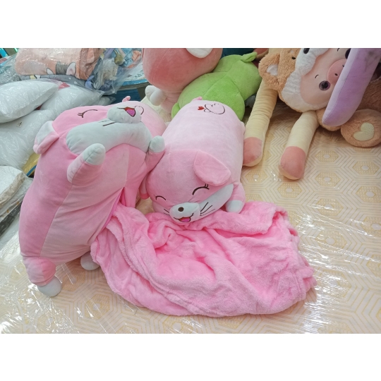 GẤU CÓ MỀN