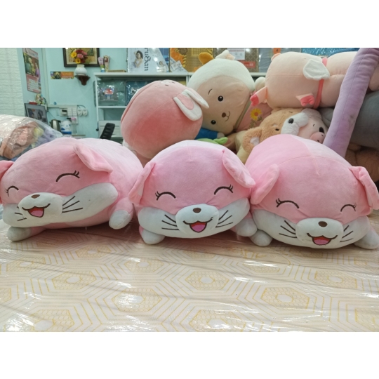 GẤU CÓ MỀN