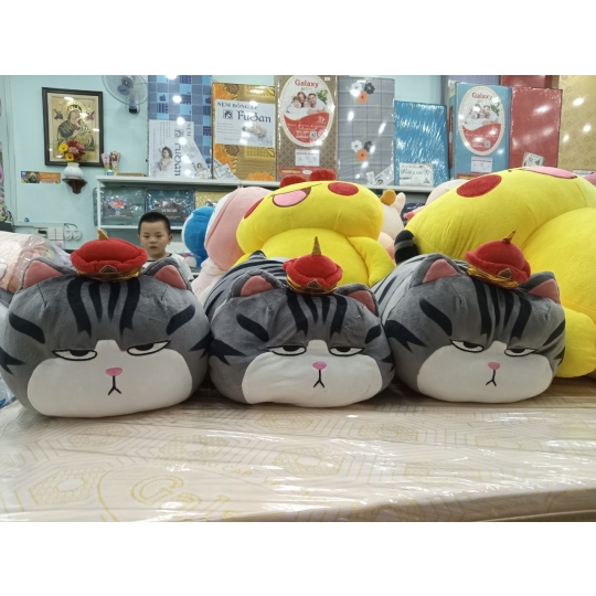 GẤU CÓ MỀN