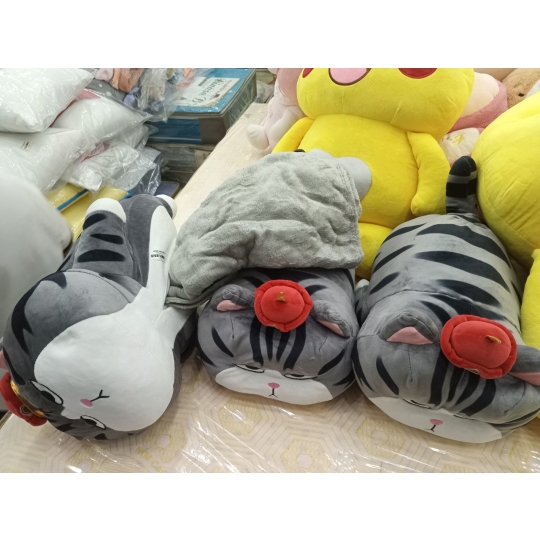 GẤU CÓ MỀN