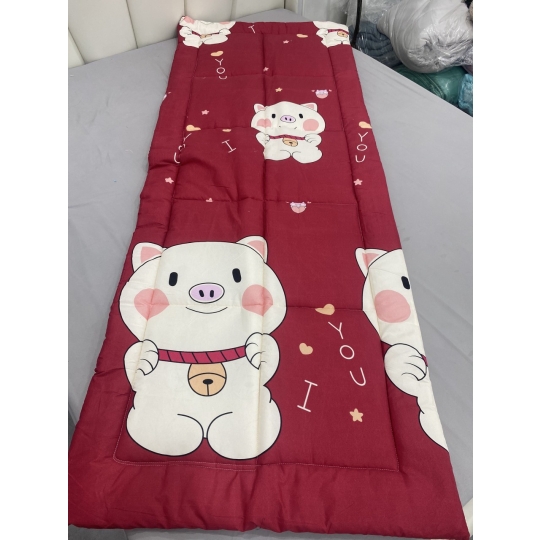 Tấm trải Văn Phòng ( 80 cm x 2m)